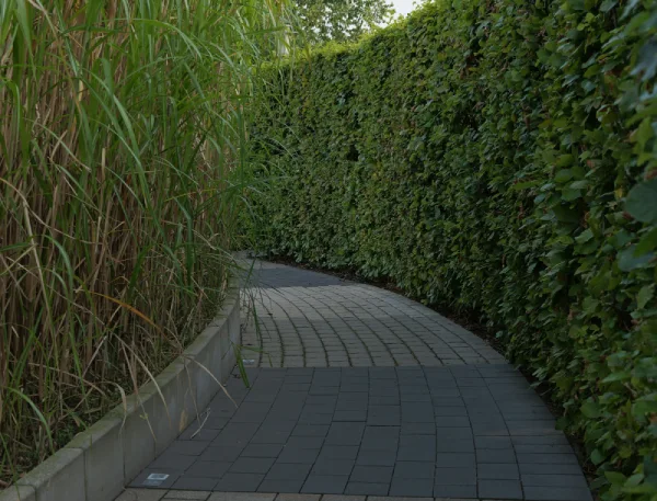 Best concrete pathways melbourne